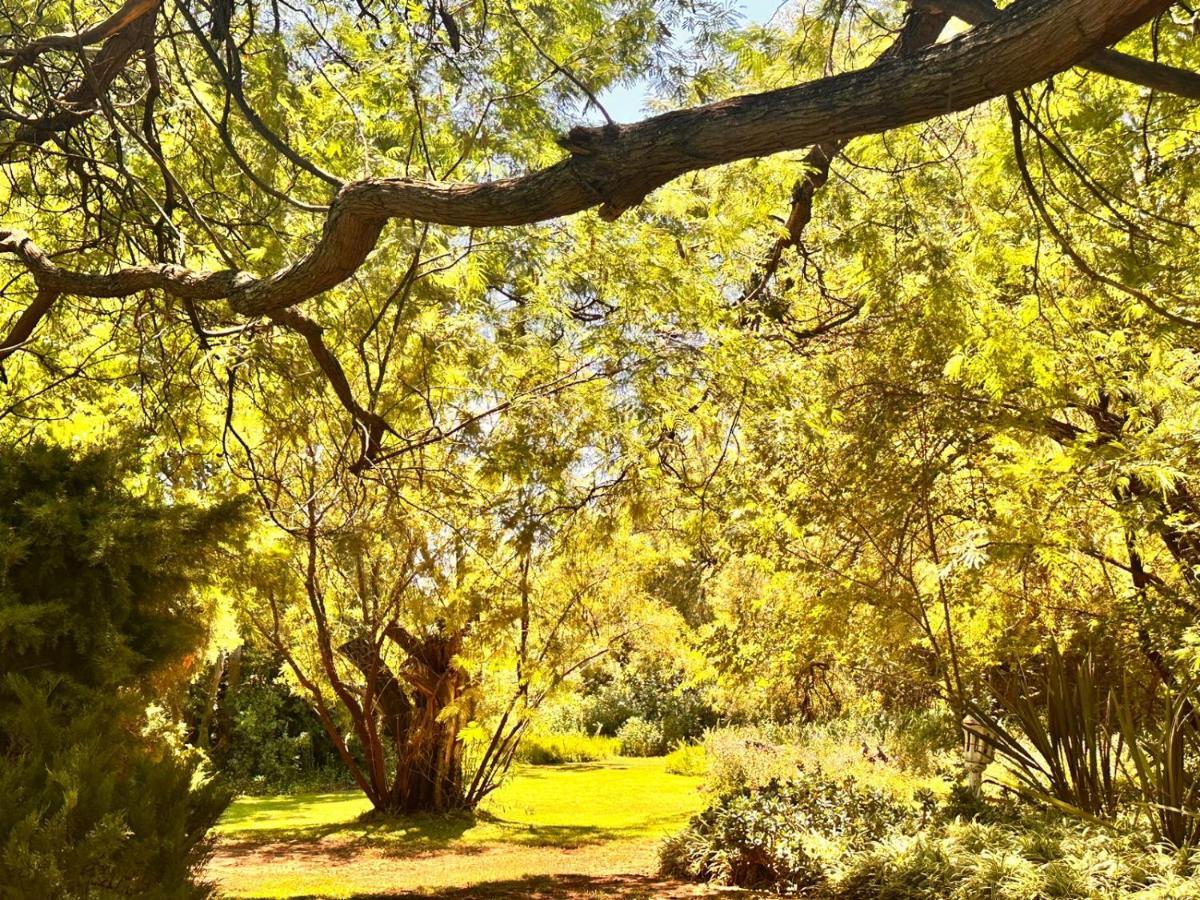 Farm At Rosemary On Haldon Estate * Bloemfontein