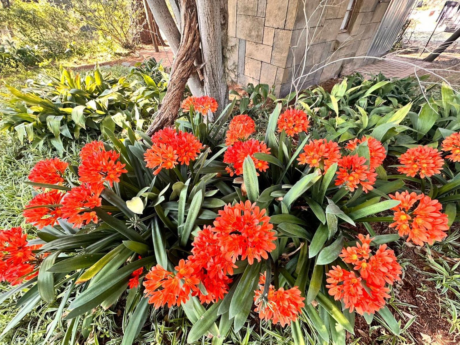Farm At Rosemary On Haldon Estate Bloemfontein