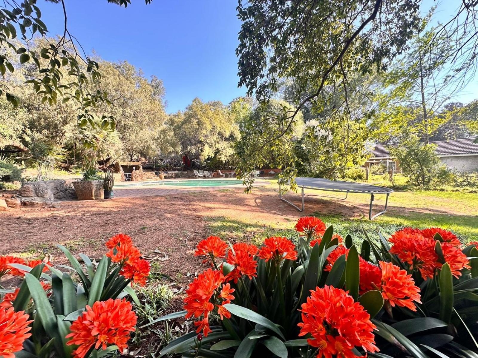 Farm At Rosemary On Haldon Estate * Bloemfontein