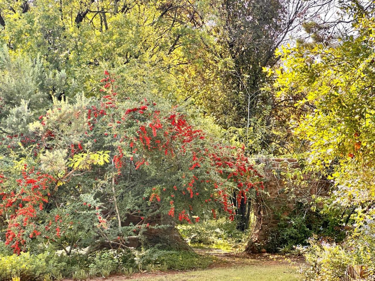 Farm At Rosemary On Haldon Estate Bloemfontein