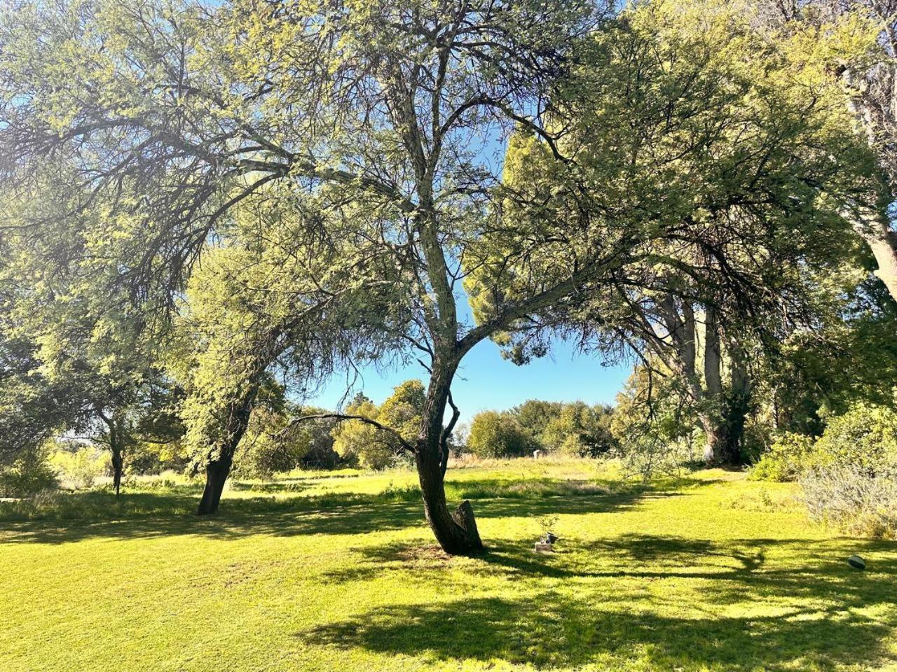 Farm At Rosemary On Haldon Estate * Bloemfontein